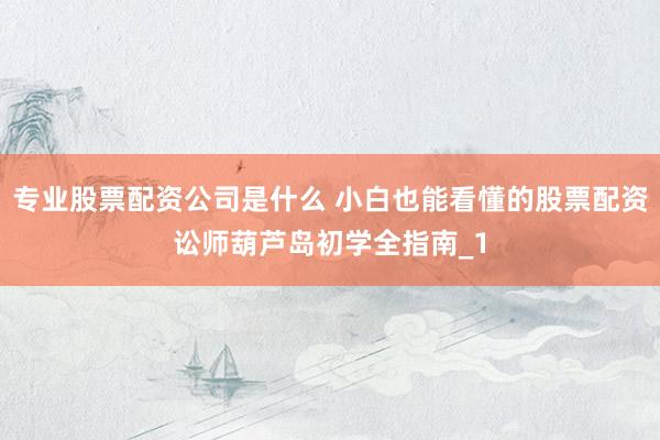 专业股票配资公司是什么 小白也能看懂的股票配资讼师葫芦岛初学全指南_1