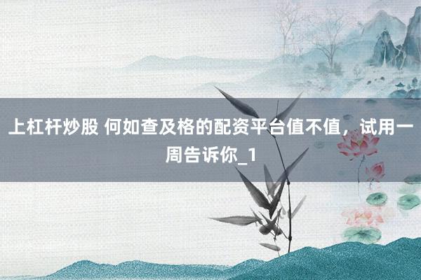 上杠杆炒股 何如查及格的配资平台值不值，试用一周告诉你_1