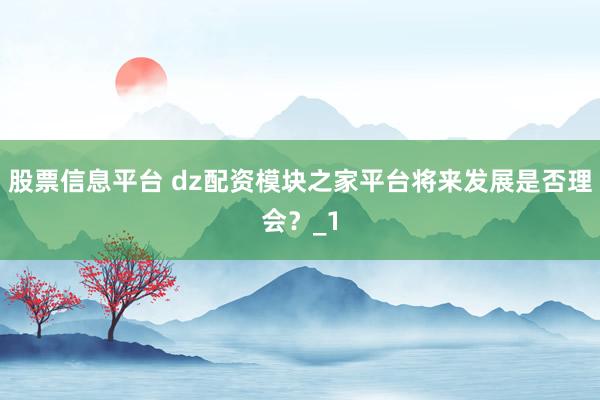 股票信息平台 dz配资模块之家平台将来发展是否理会？_1