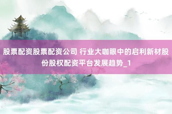 股票配资股票配资公司 行业大咖眼中的启利新材股份股权配资平台发展趋势_1