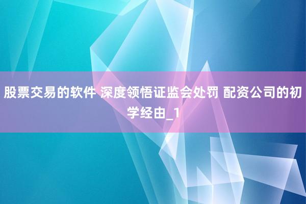 股票交易的软件 深度领悟证监会处罚 配资公司的初学经由_1